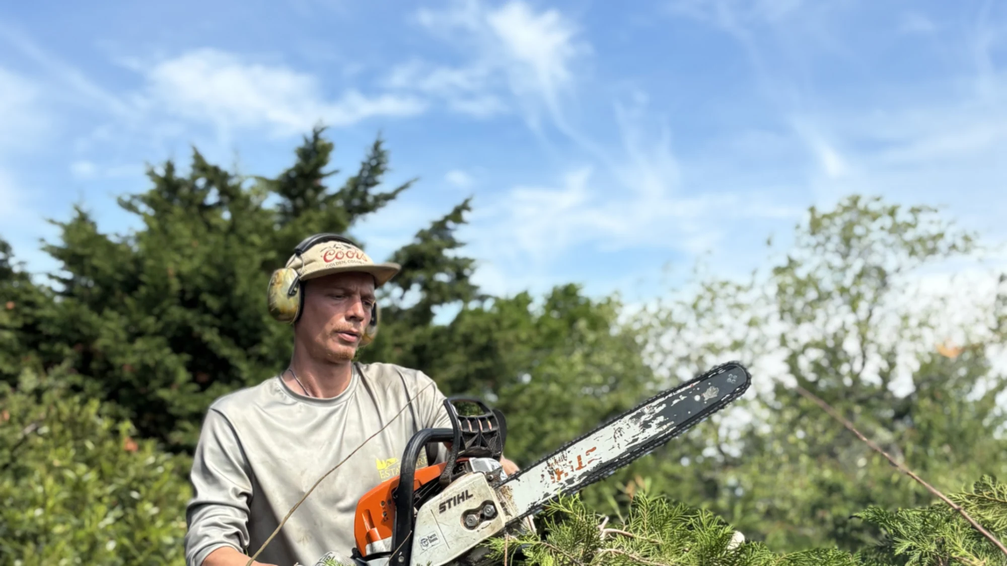 Windward crew member with a chainsaw beside cut conifer limbs on an estate lawn