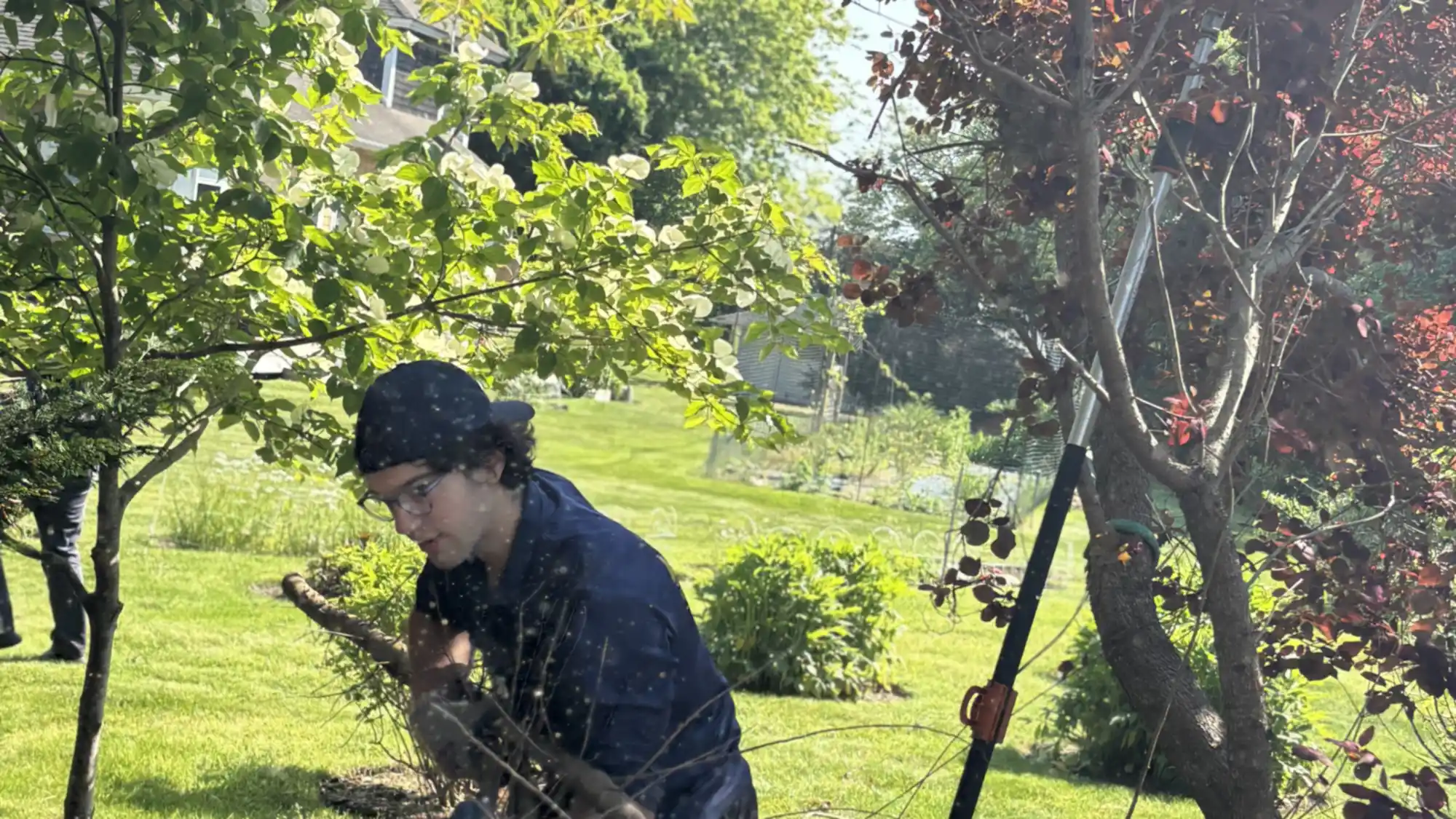 Windward crew clearing cut brush on a Martha’s Vineyard property