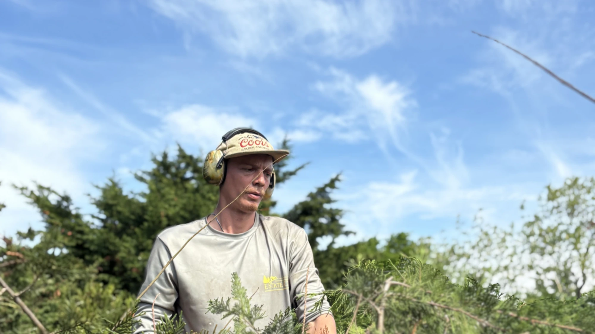Windward crew member standing among cut brush after a day of pruning work