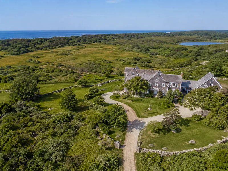 Windward vista and removal work on a Chilmark property