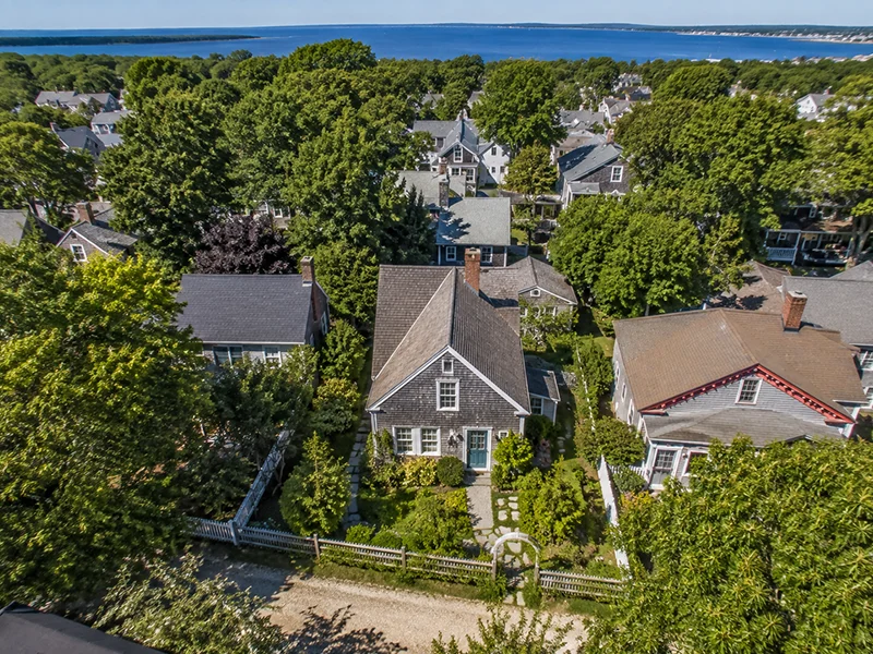 Windward tree work on a tight Oak Bluffs lot
