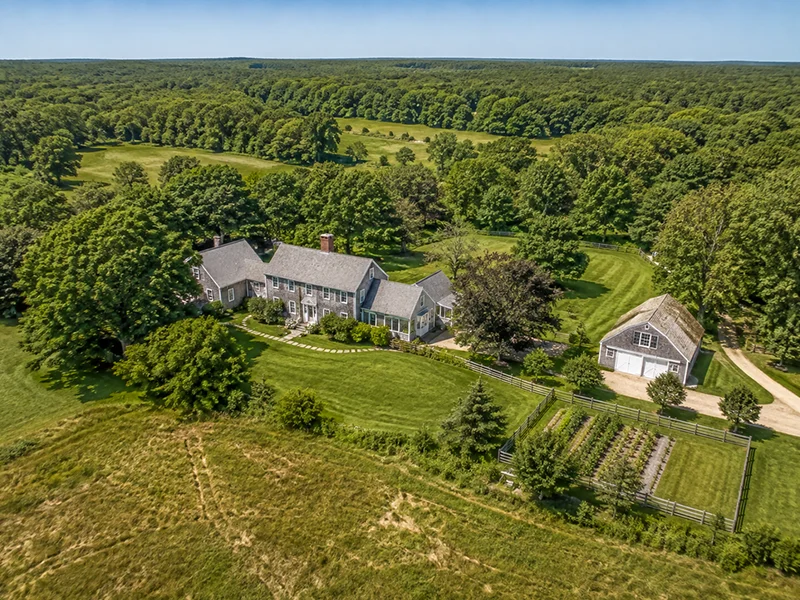 Windward tree work among the big oaks of West Tisbury
